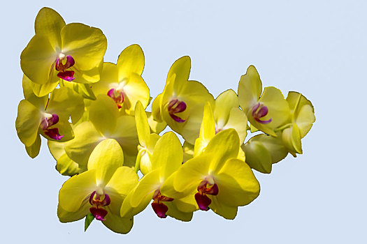 miền bắc thứ sáu