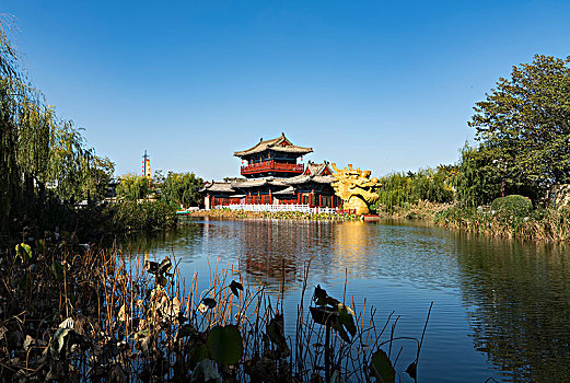 soi cau w