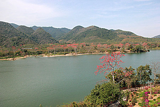soi cau mb mien phi 888