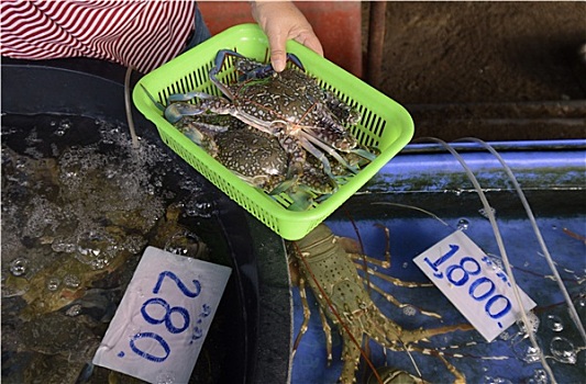 chơi lô trên mạng