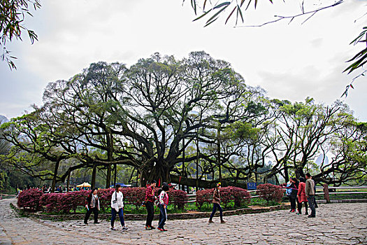 thống kê xổ số