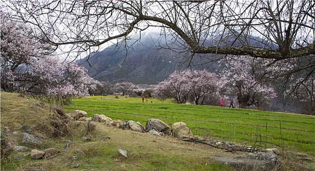 số lô đẹp hôm nay