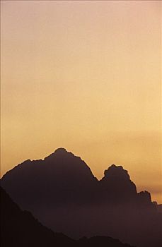 soi cau lo rong bach kim
