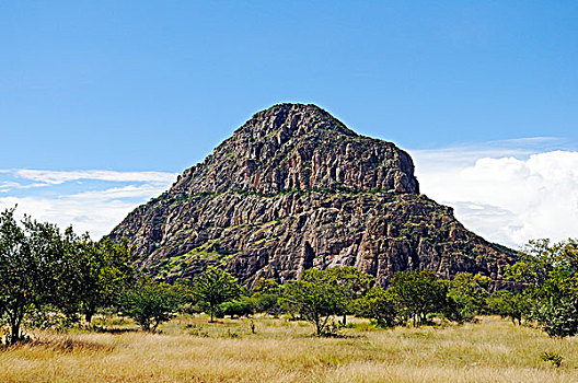 du doan cau lo