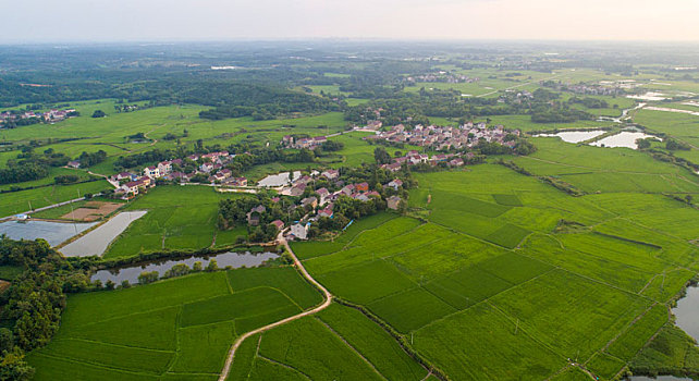 xổ số thứ ba tuần rồi