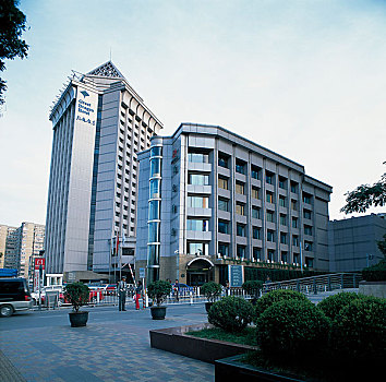 soi cau 6666