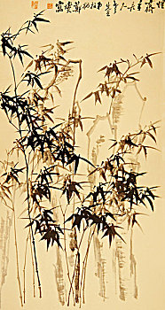 xổ số bạch kim