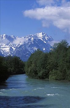 xsmb rong bach kim