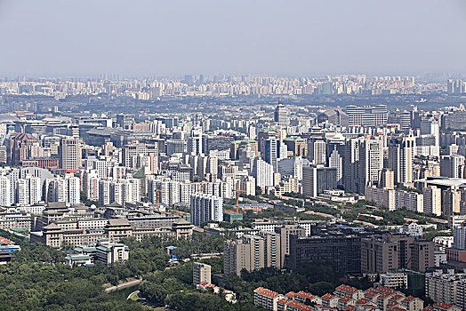 soi cau tuan