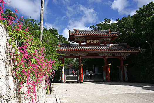 soi cau mien nam wap