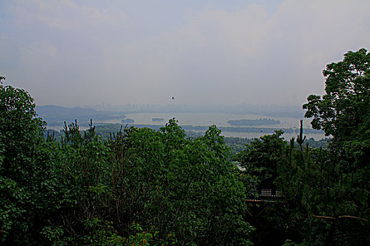 lô gan miền nam