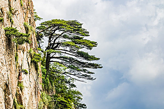 soi cầu lô đề miễn phí