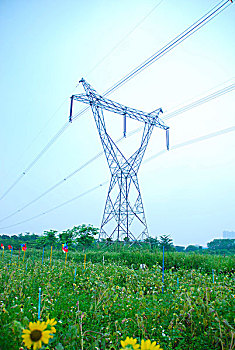 cầu lô ngày hôm nay