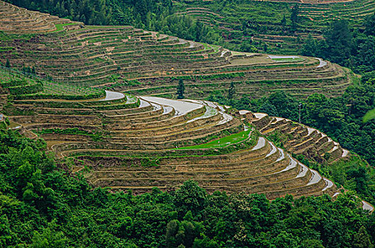 tỉ lệ ăn 3 càng