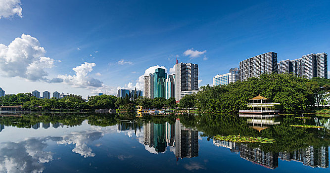 soi cau hau giang