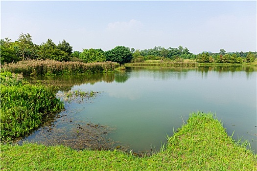 du doan xo so binh duong sieu chuan
