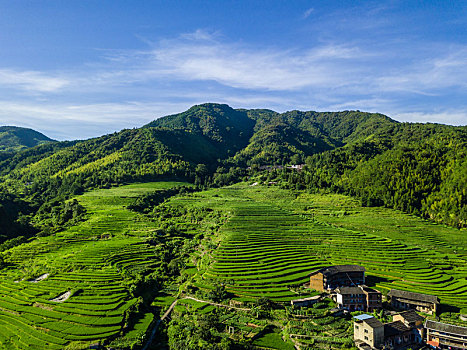 soi cầu lô đề bạch thủ
