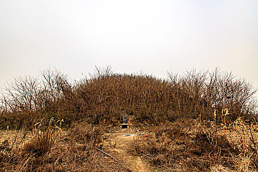 bạch thủ lô ngày hôm nay