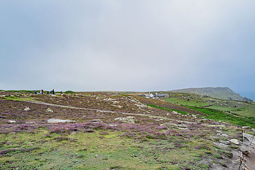 xs đong nai