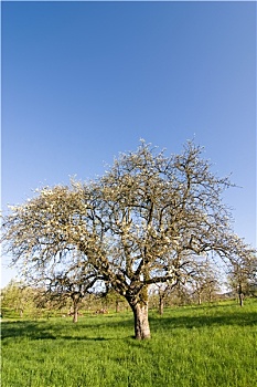 du doan xs 3 mien mien phi
