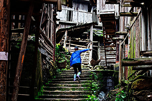 bạch thủ lô miễn phí hôm nay
