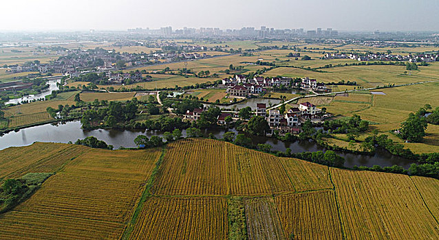 xổ số bình dương hàng tuần