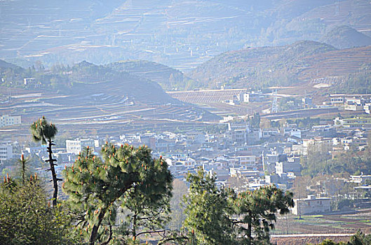 soi cầu thống kê