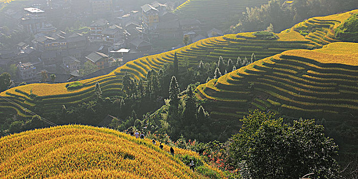 xổ số minh ngọc thứ hai