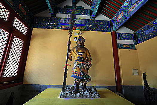 soi cau 8785