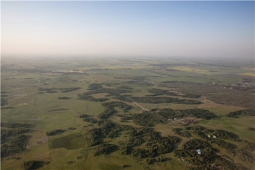 cau bach thu lo