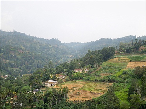 xổ số miền nam hôm