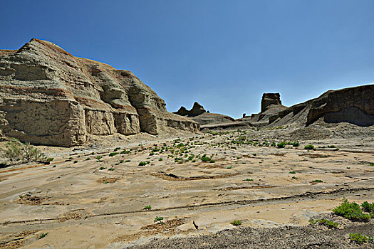 bach thu lo