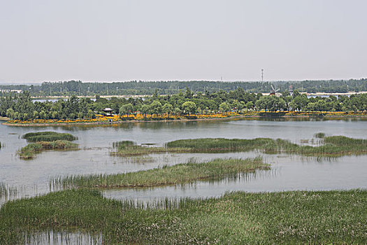 quả xổ số