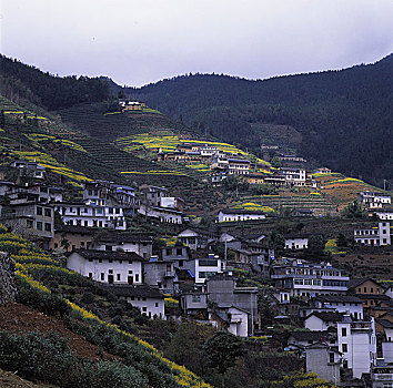thống kê xổ số vũng tàu