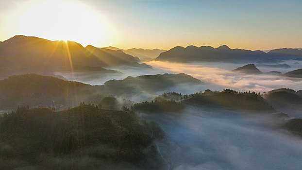 soi cau lo đe chuan