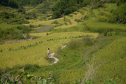 du doan mb