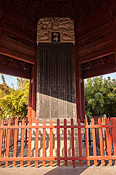 soi cầu miền nam ngày mai
