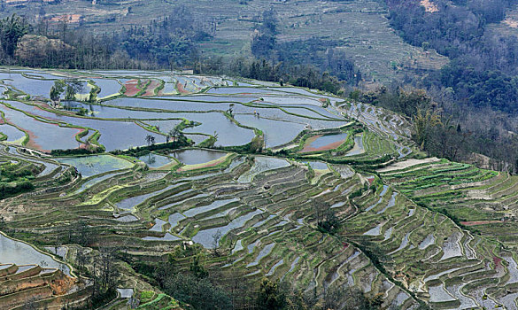 dàn lô đề