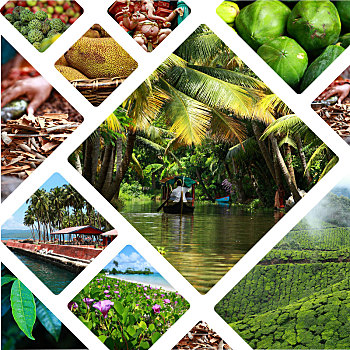 tham khảo xổ số miền bắc