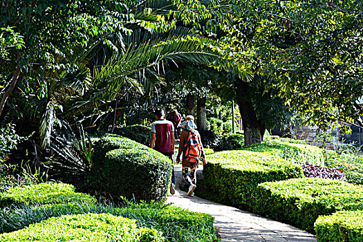 soi bạch thủ