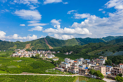 xổ số đà nẵng