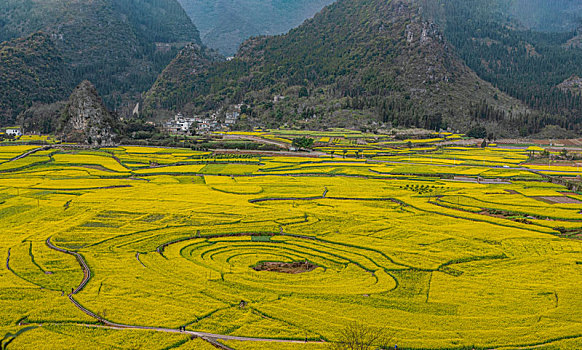 xổ số kiên giang hàng tuần