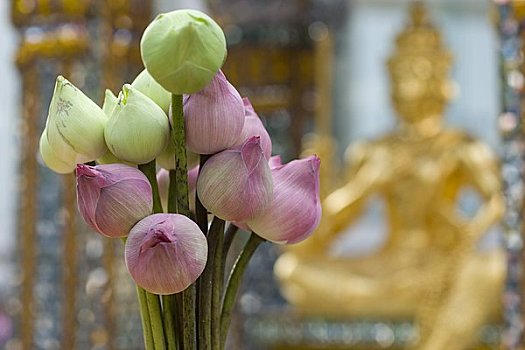 cách tính lô đề chuẩn