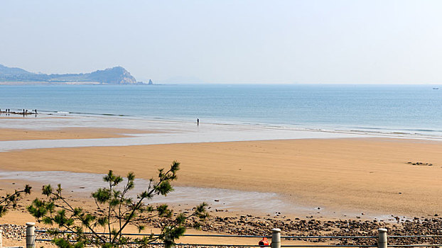 cầu bạch thủ thành phố