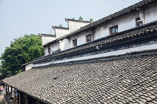 soi cầu lô bạch thủ 8785