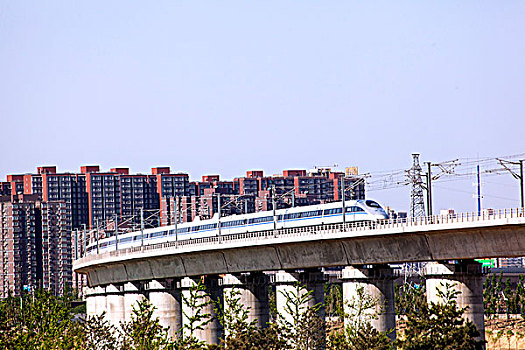 đề hôm nay con gì
