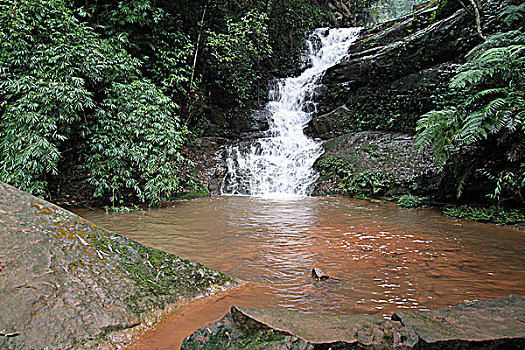 xổ số tây ninh hôm nay