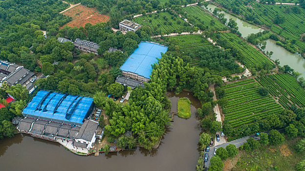 soi cầu thành phố