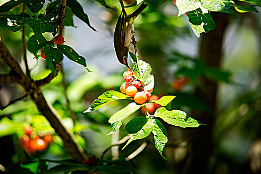soi cầu xổ số kiên giang