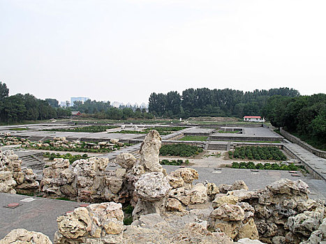 soi cau 100 ngay